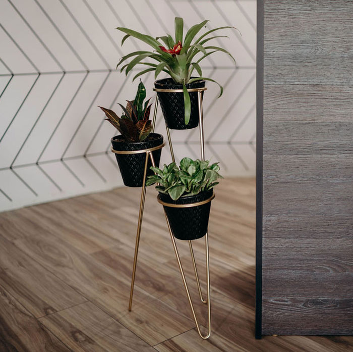 home-box-04.jpg 14-25-51-675